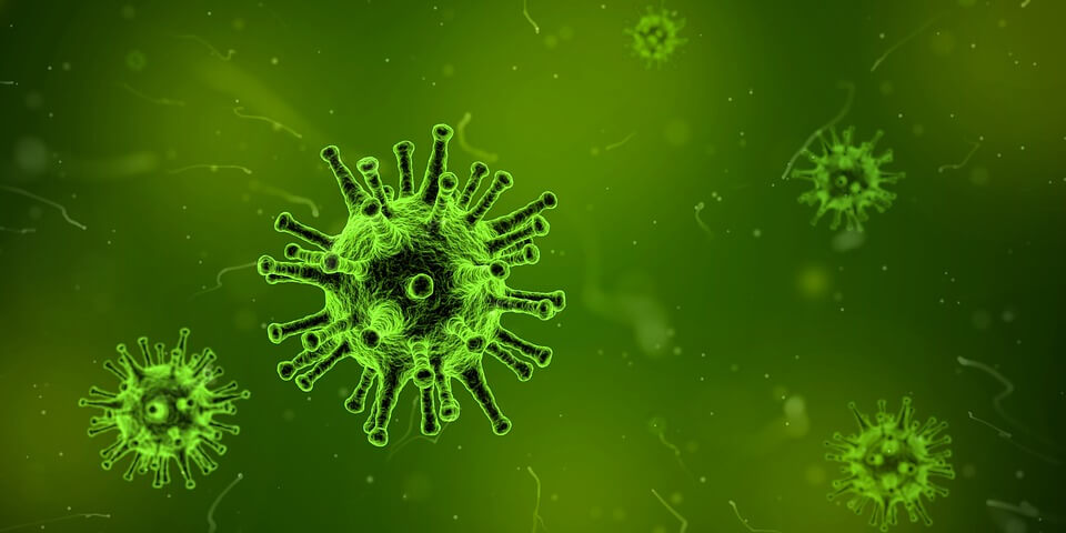 Bacteria on green background