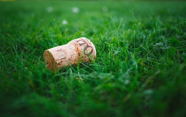 Cork in the grass